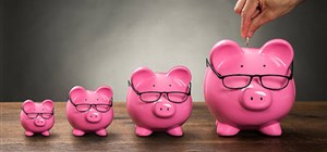 Bad Debtor Rehabilitation and Debt Counselling